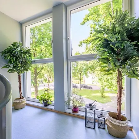 شقة Og1 M 70m2 Grosse 2-zimmer Naehe Salzburg *